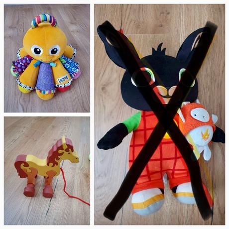 Dreveny konik, chobotnica, 