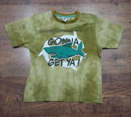 Tričko palomino, palomino,122