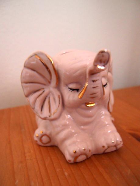 Pokladnička sloník, 