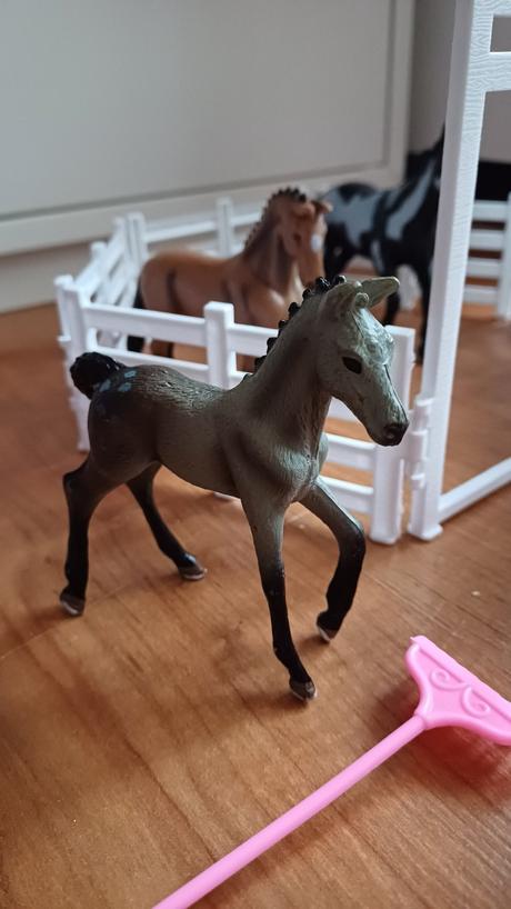 Kone ohrada chovateľ, 