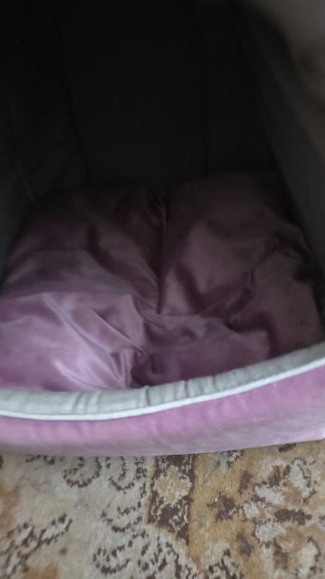 Pelech kukaňa  pre psa, 