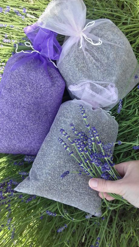 Sušená levanduľa, 