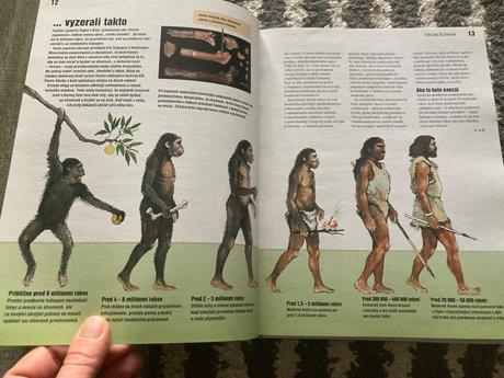 Ako to bolo naozaj (2005),