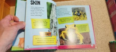 Izzi howel - factcat - amphibians,