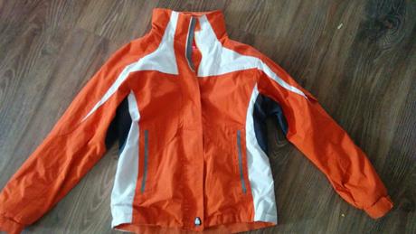 Orange effect na jeseň, success,158