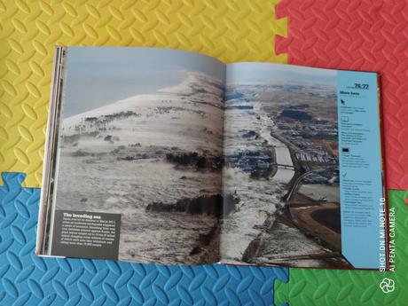 Disaster kniha top stav,