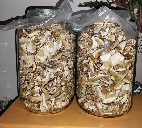 Sušené hríby, 