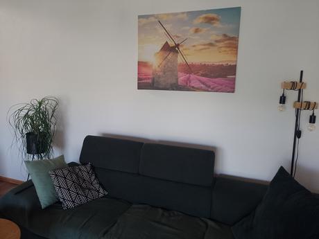 Obraz levanduľové pole a veterný mlyn, 