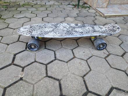 Skateboard,