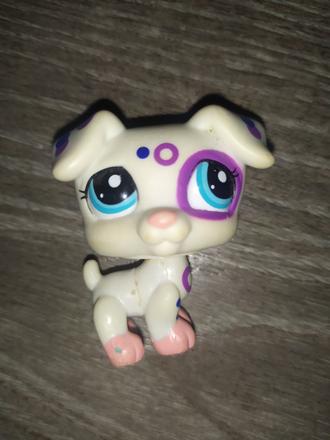 Lps littlest pet shop jrt jack russel terrier, 