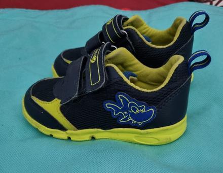 Geox, adidas, geox,22