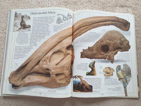 Dinosaury - vidieť, poznať, vedieť,