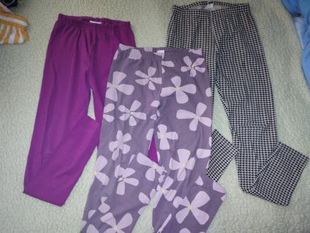 Leginy, coccodrillo,164