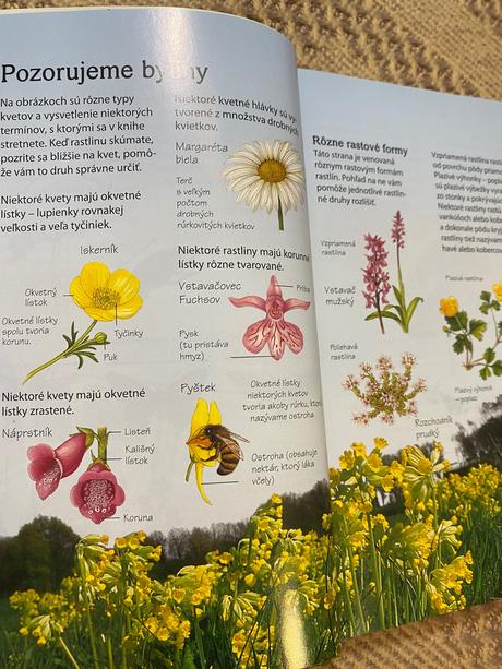 Krásna kniha sprievodca prírodou zvieratá kvety,