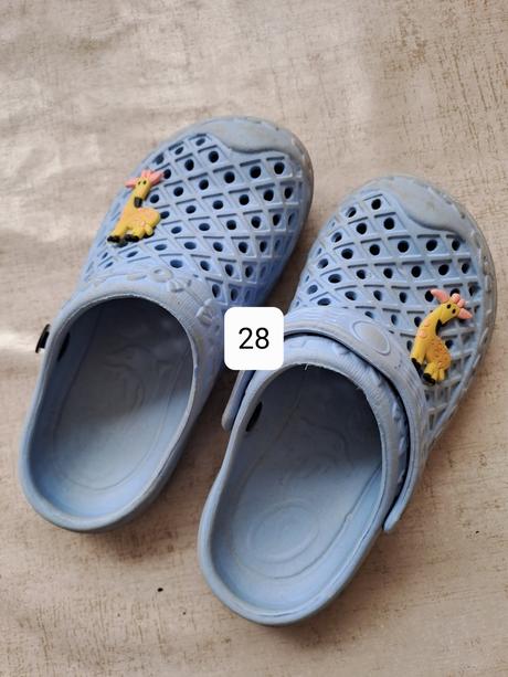 Crocsy, 28