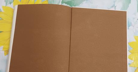 Števko drievko a alenka z polienka, 