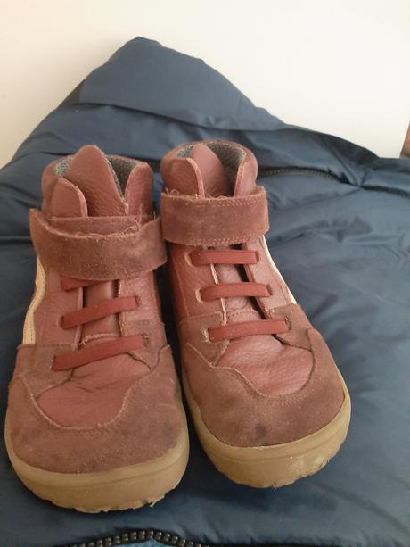 Froddo celoročky 31, froddo,31