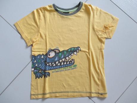 Tricko, cactus clone,122