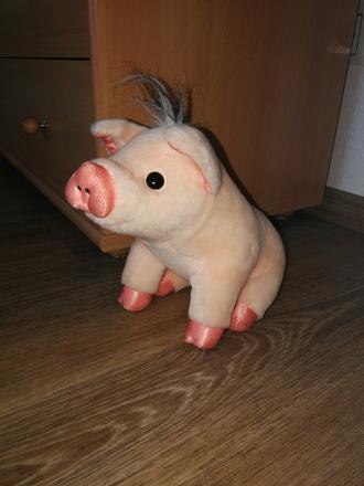 Plyšové prasiatko, 