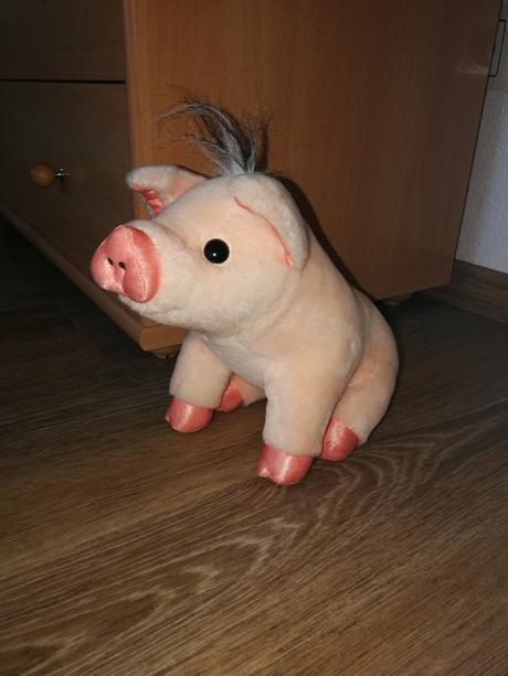 Plyšové prasiatko, 