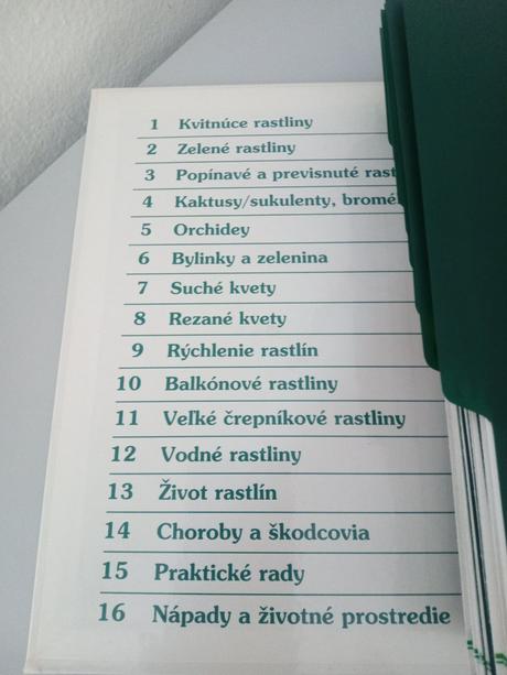 Izbové kvetiny od apo z, 