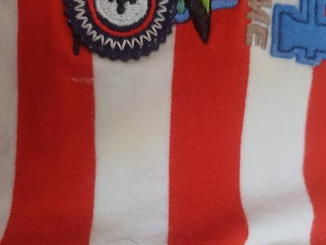 Body 74, koala baby,74