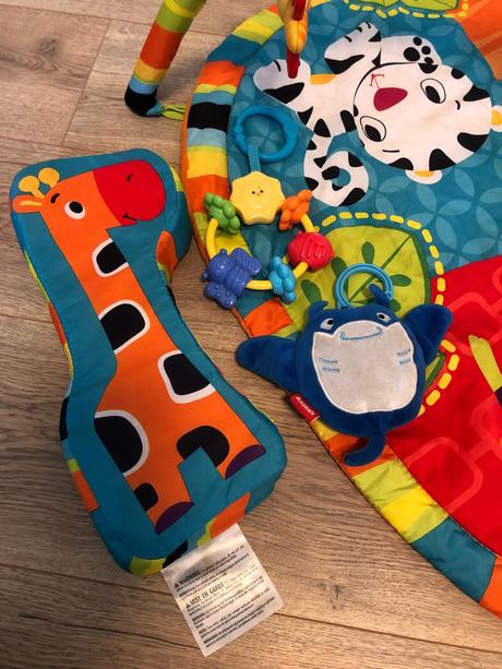 Hrazdicka bright starts, 