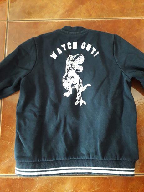 Dino mikina 98/104, lupilu,98