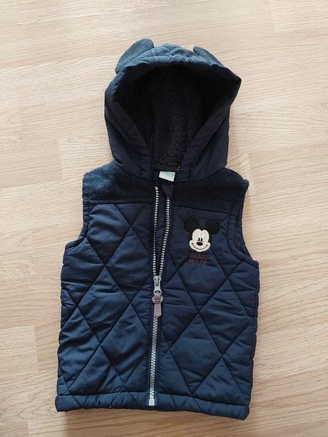 Vestička, disney,74