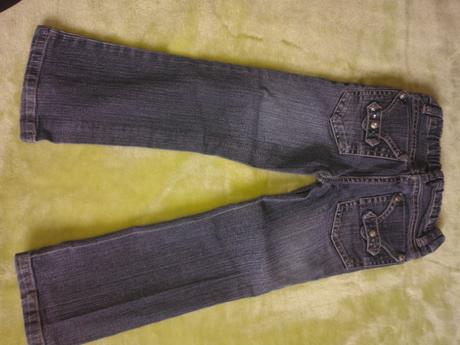 Riflicky, palomino,104