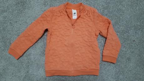 Mikinka, palomino,110