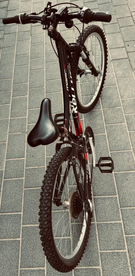 Kellys 24, kellys,24