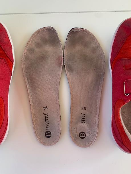 Blifestyle crocodile, 36