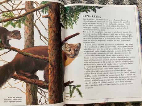 Zvieratá európy-prvé vyd.1997, 