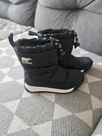 Snehule sorel, sorel,28