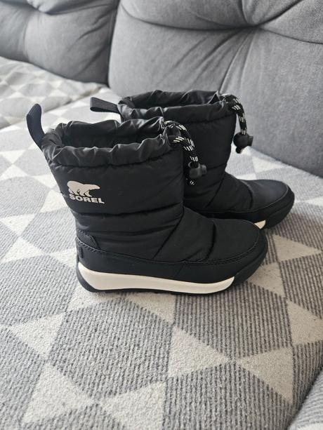 Snehule sorel, sorel,28