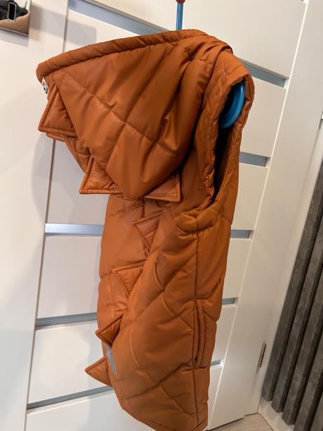 Vesta moonrise 116, 116