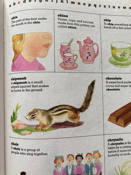 Children's first dictionary (1990), 