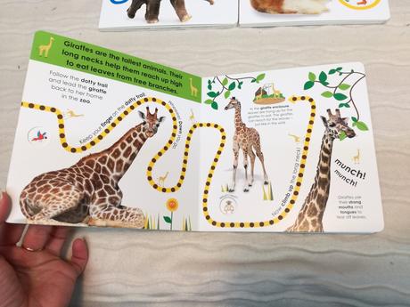 Follow the trail leporela nau20,