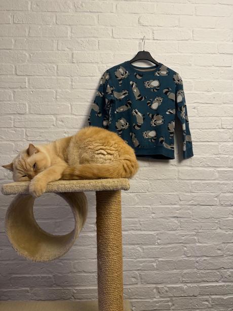 Mikina s mývalom, 134