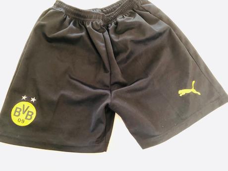 Puma kratasy dortmund, puma,152