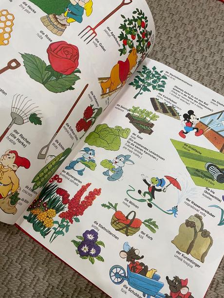 Velky obrazkovy walt disney slovnik, 