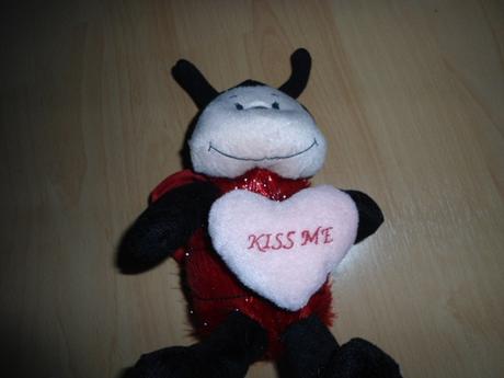 Cervena plysova lienka, 