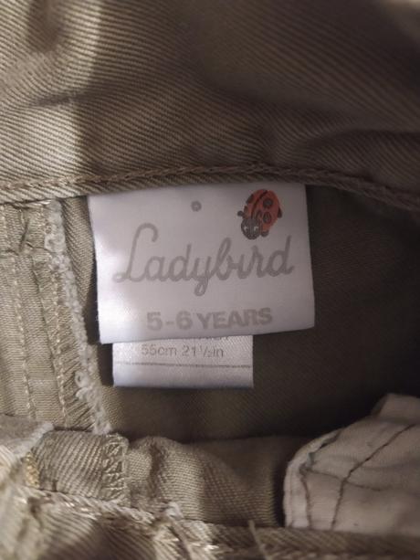 Kratase, ladybird,134