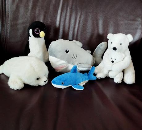 Zvieratá zo severného aj južného pólu,