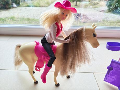 Stajňa, kôn a bábika, 