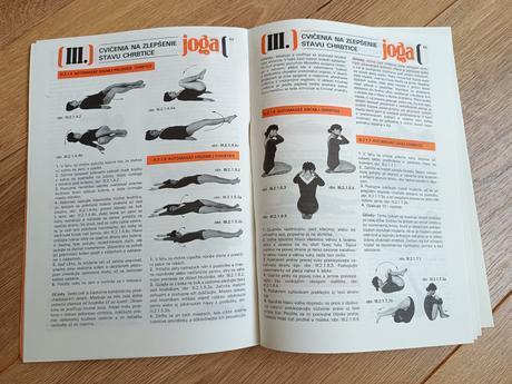 Joga osem stupnov vycviku, 