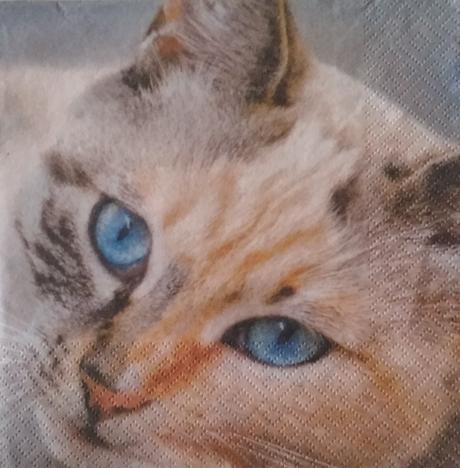 Servítky zvieratá,