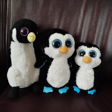 Zvieratá zo severného aj južného pólu,