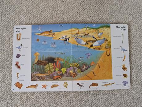 Prvé ilustrované knižky,